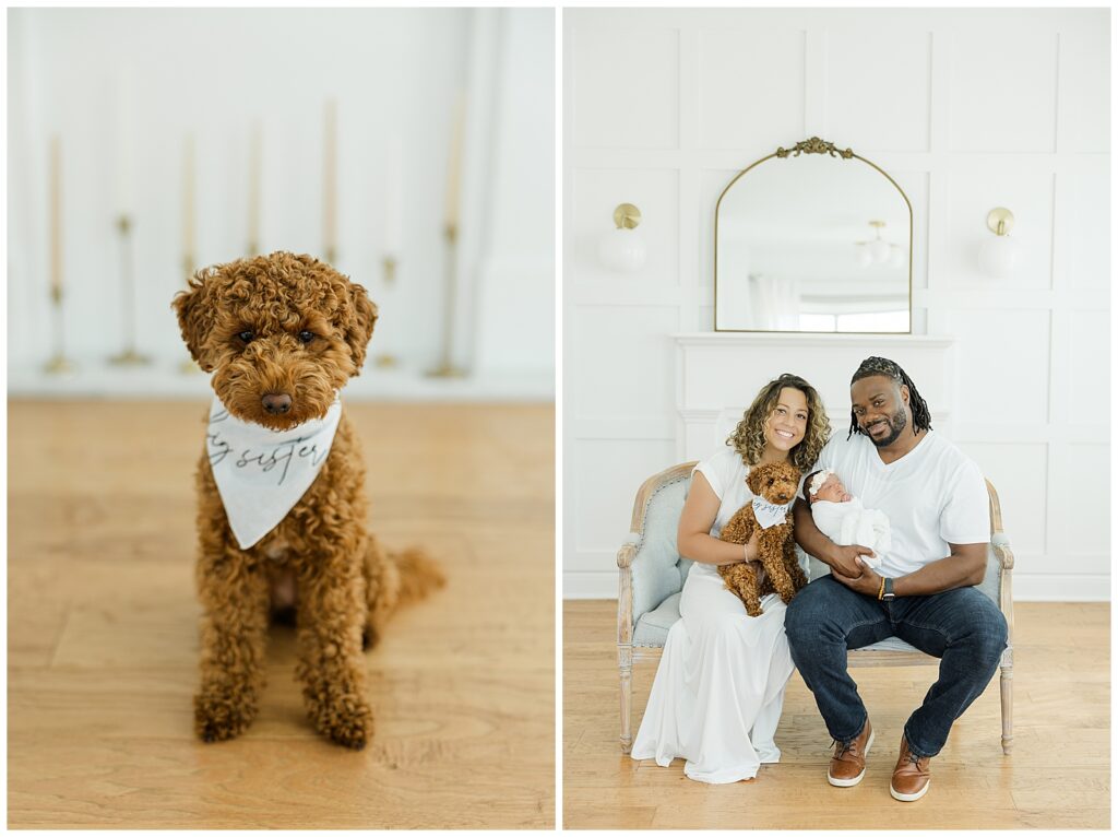 Family of four newborn pictures with Malorie Jane Photography